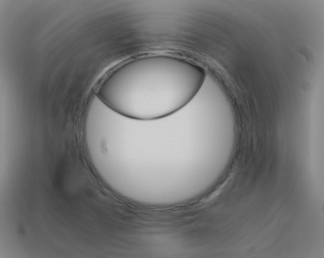 X0000114151457200910081102