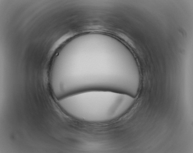 X0000114151458200910081102