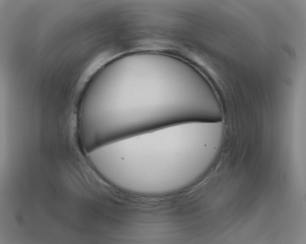 X0000114151459200910081102