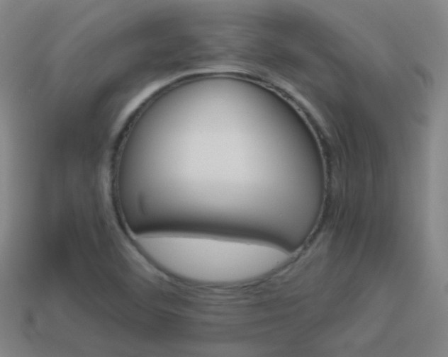 X0000114151460200910081102