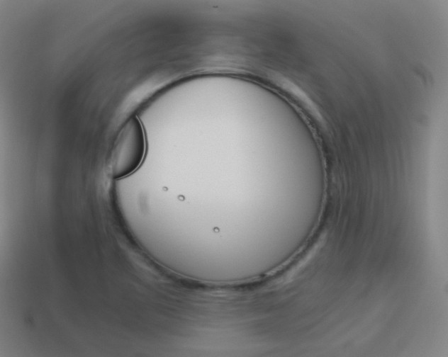 X0000114151461200910081102
