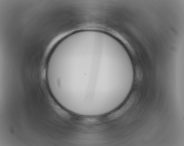 X0000114151462200910081102