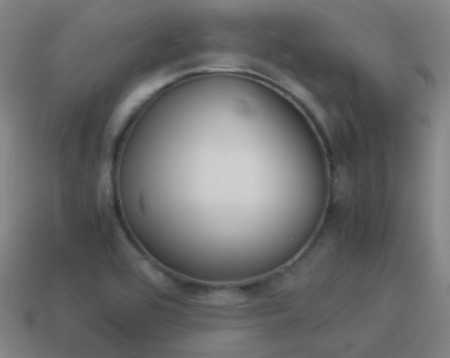 X0000114151464200910081102