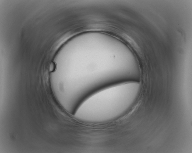 X0000114151465200910081102