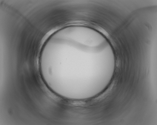X0000114151466200910081102