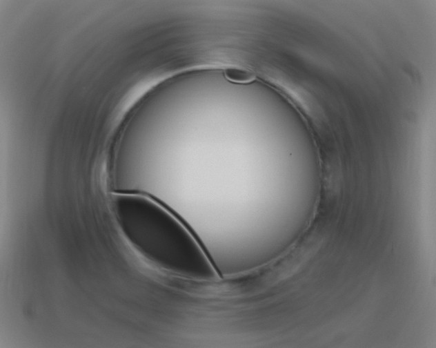 X0000114151468200910081102