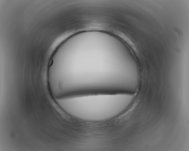 X0000114151469200910081102