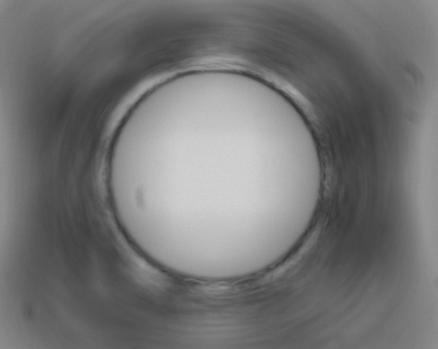 X0000114151470200910081102