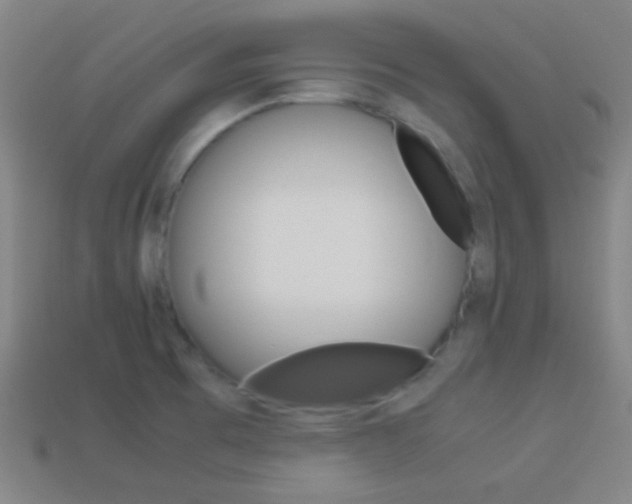 X0000114151473200910081102