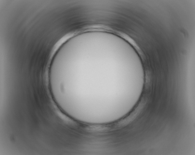 X0000114151474200910081102