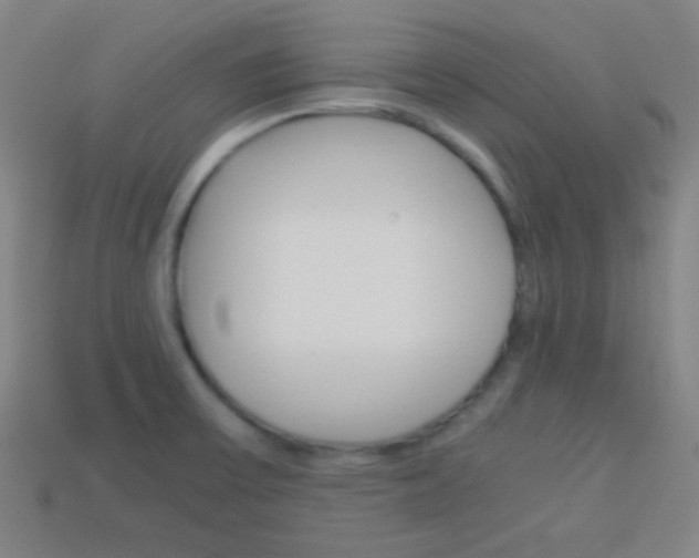X0000114151475200910081102