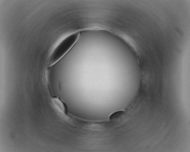 X0000114151476200910081102