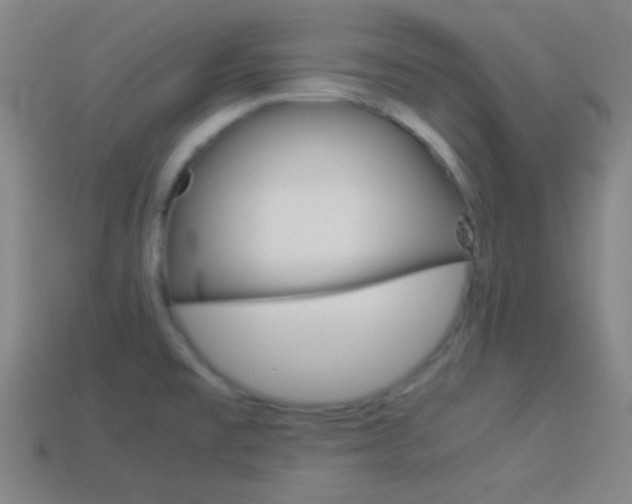 X0000114151477200910081102