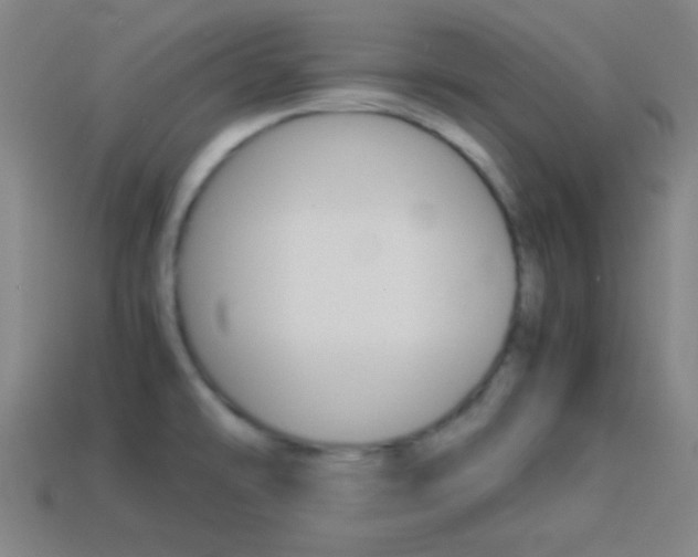 X0000114151478200910081102