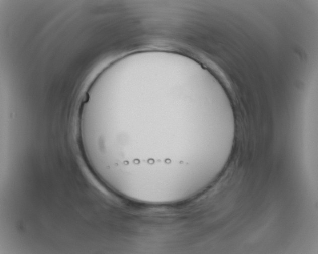 X0000114151479200910081102