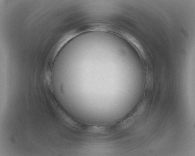 X0000114151481200910081102