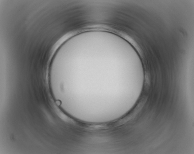 X0000114151482200910081102