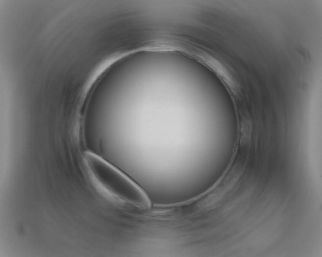 X0000114151484200910081102