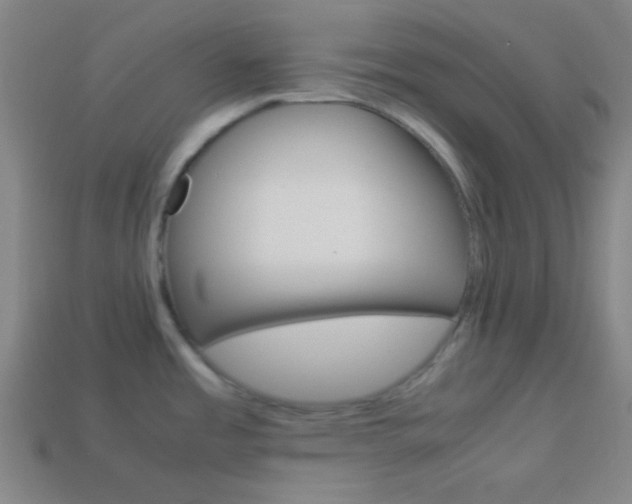 X0000114151485200910081102