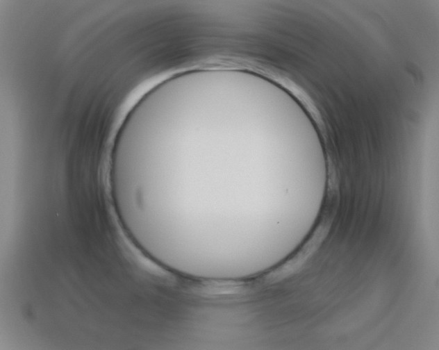 X0000114151486200910081102