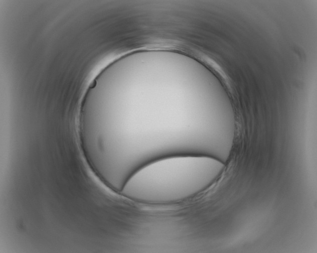 X0000114151487200910081102