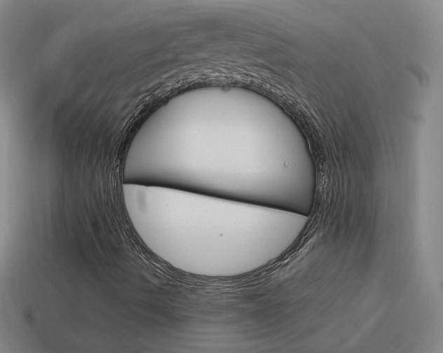 X0000114151490200910081101