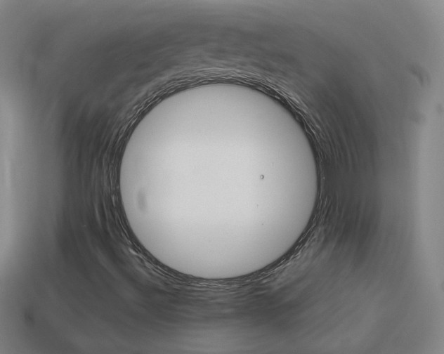 X0000114151492200910081101