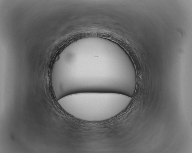X0000114151493200910081101