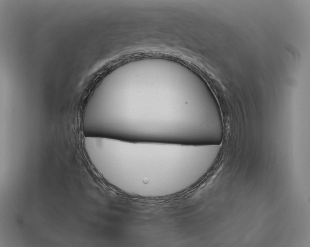X0000114151494200910081102