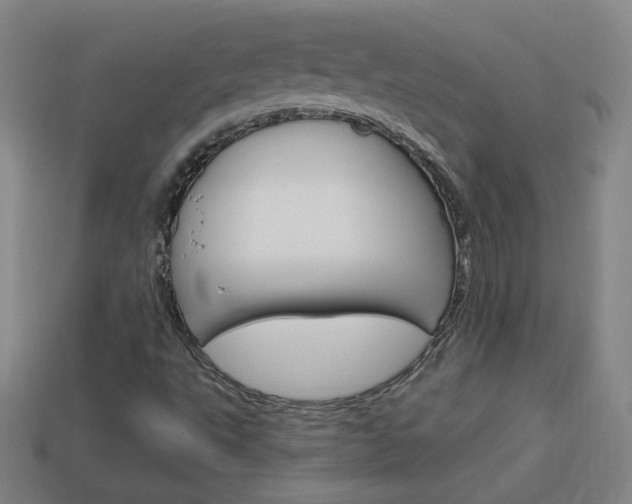 X0000114151495200910081102