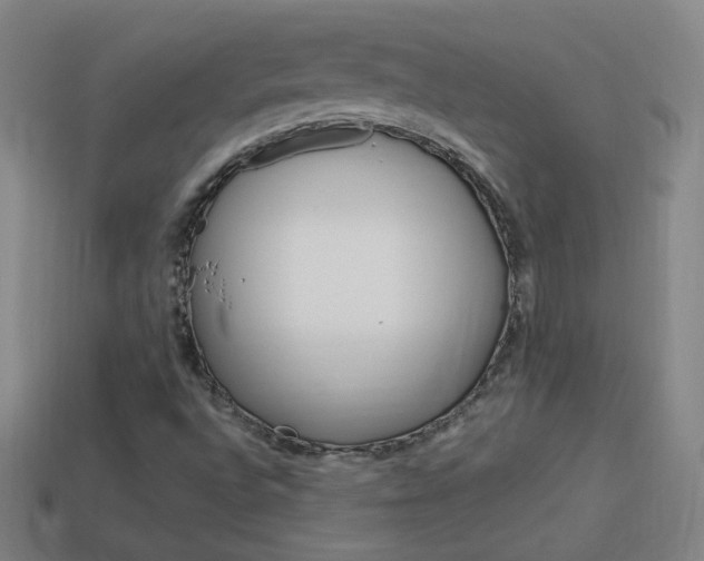 X0000114151496200910081102
