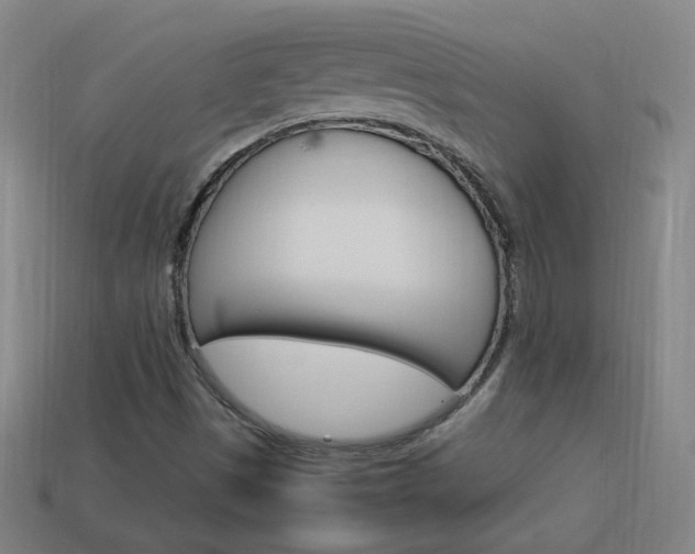 X0000114151497200910081102
