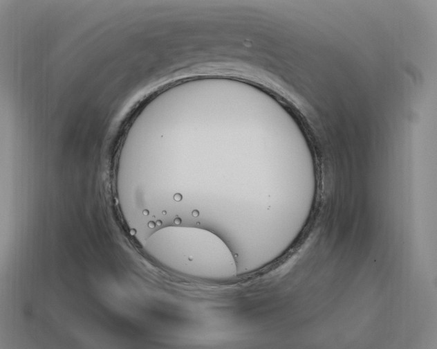 X0000114151498200910081102