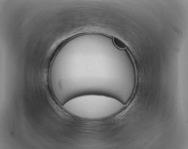 X0000114151499200910081102