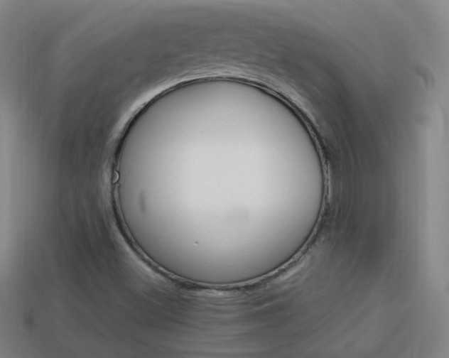 X0000114151500200910081102