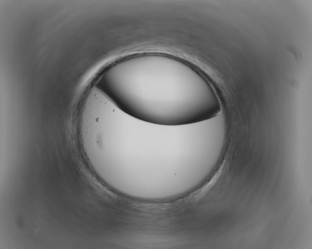 X0000114151502200910081102