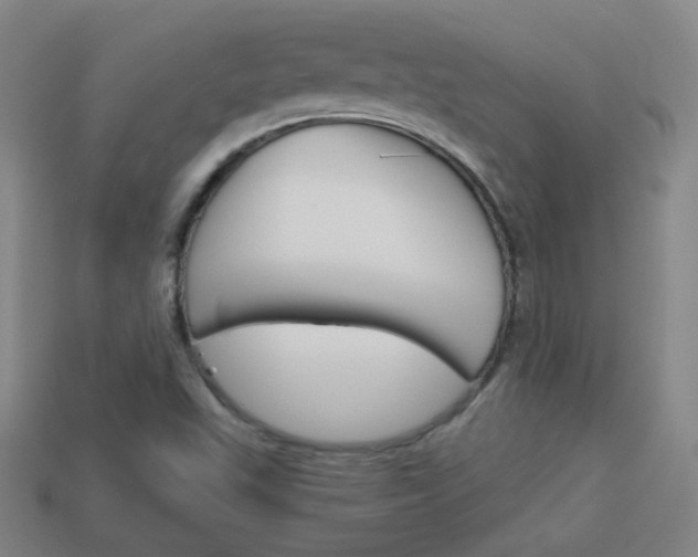 X0000114151503200910081102