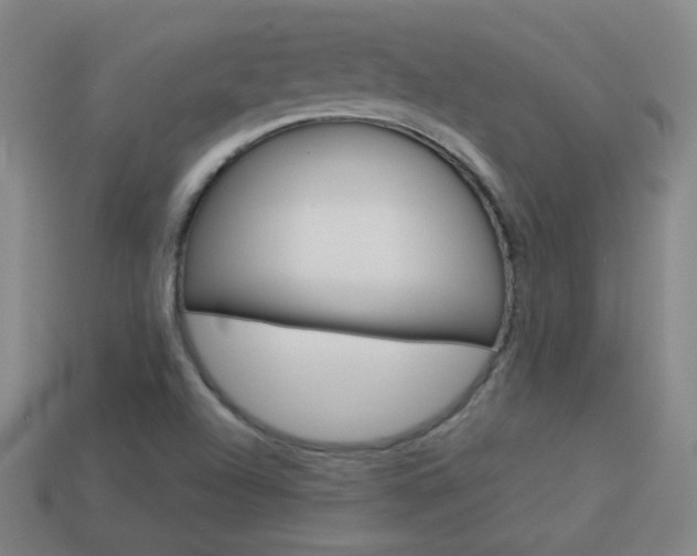 X0000114151504200910081102