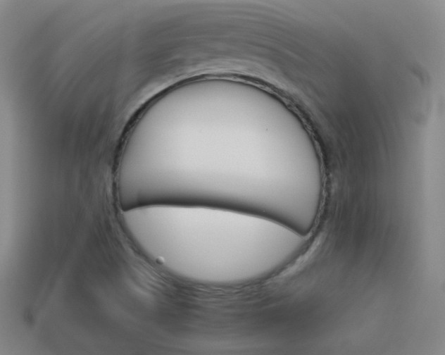 X0000114151505200910081102