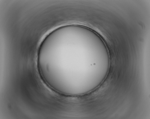 X0000114151508200910081102