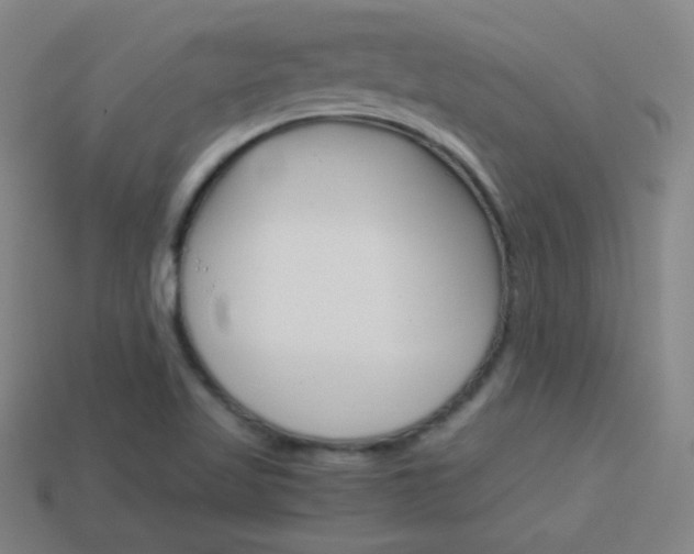 X0000114151509200910081102