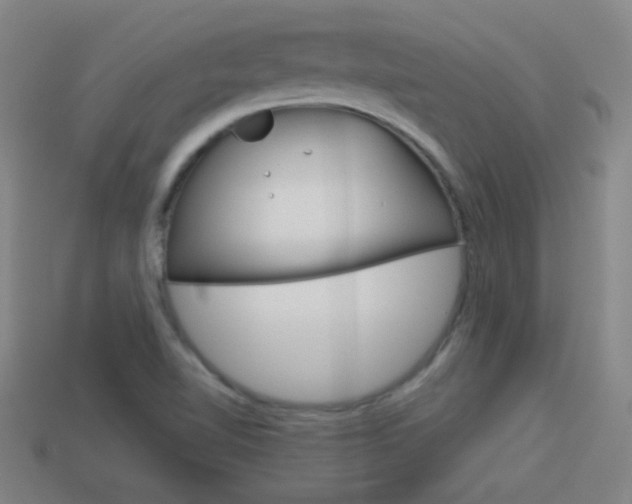 X0000114151510200910081102