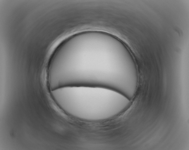 X0000114151511200910081102