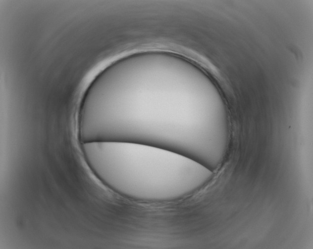 X0000114151512200910081102