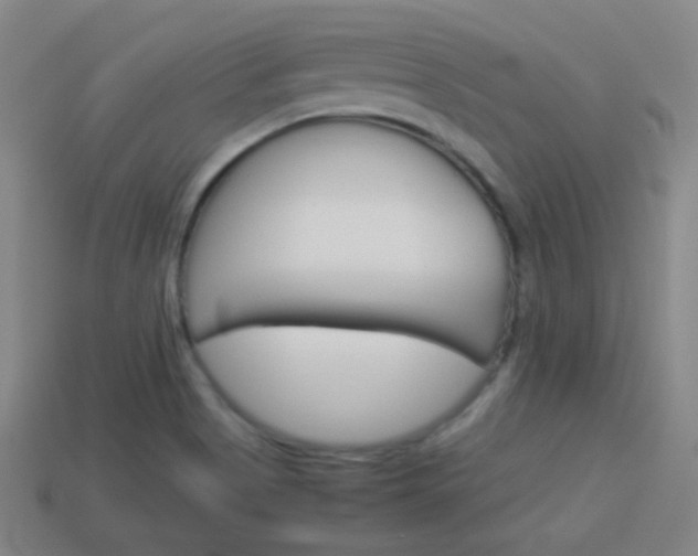 X0000114151513200910081102