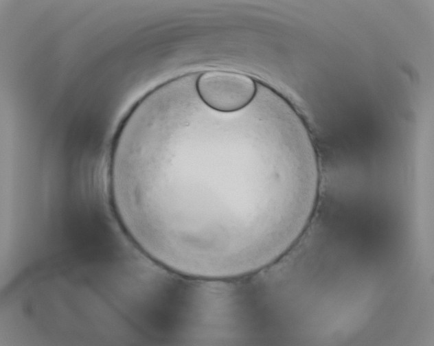 X0000114151514200910081102