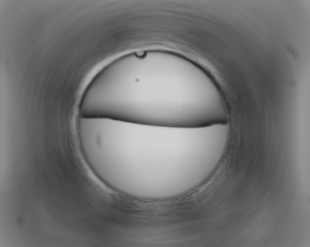X0000114151516200910081102
