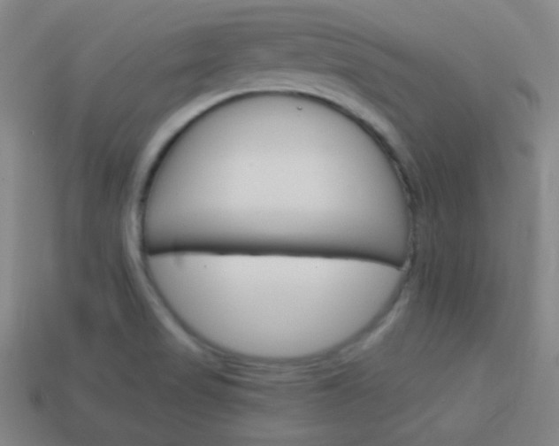 X0000114151517200910081102