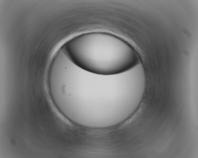 X0000114151518200910081102