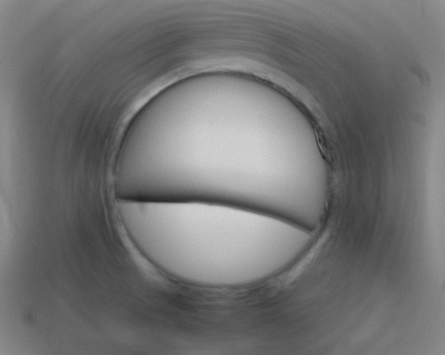 X0000114151521200910081102